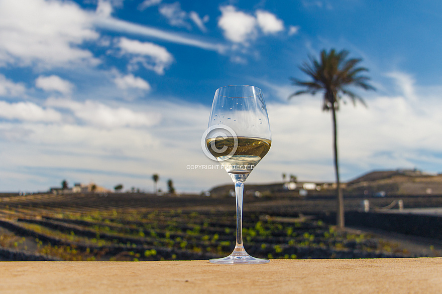 Bodegas La Florida - Lanzarote