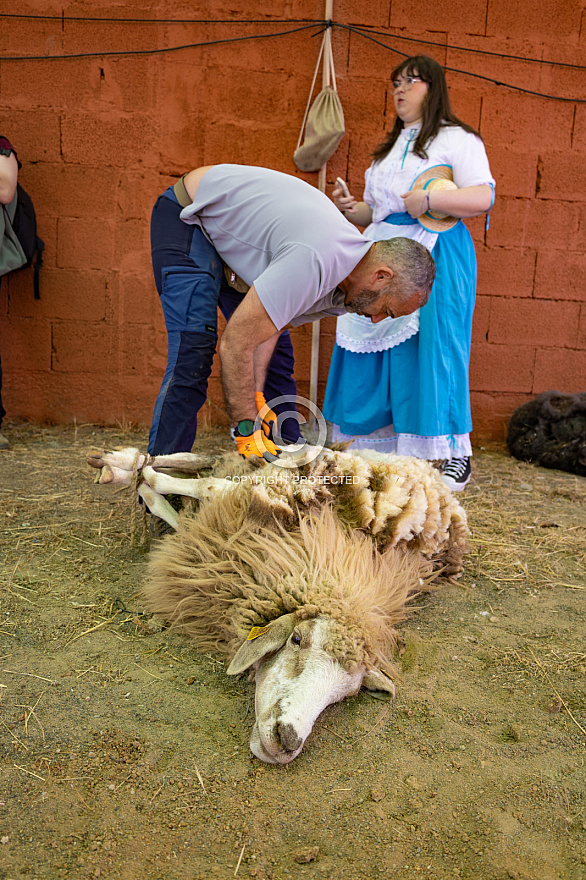 Fiesta de la lana - Caideros