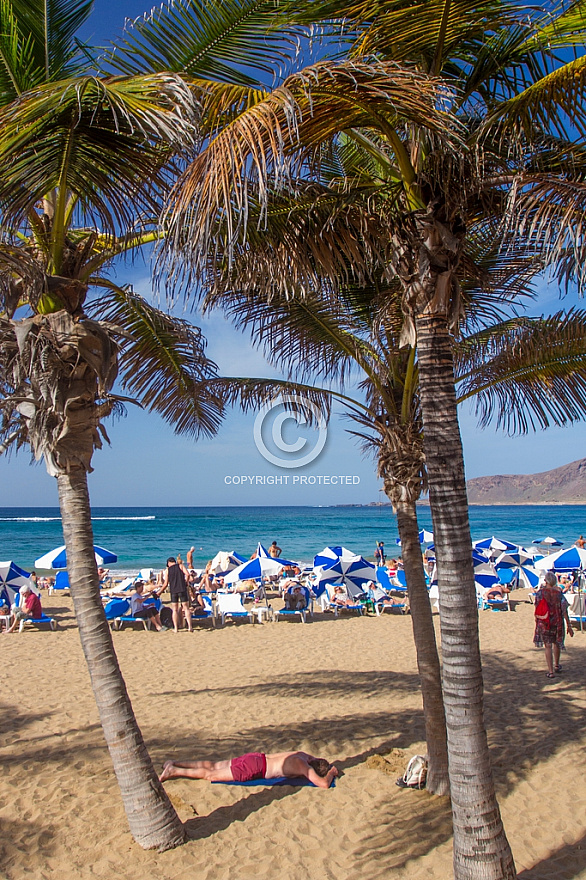 Las Canteras Beach in December