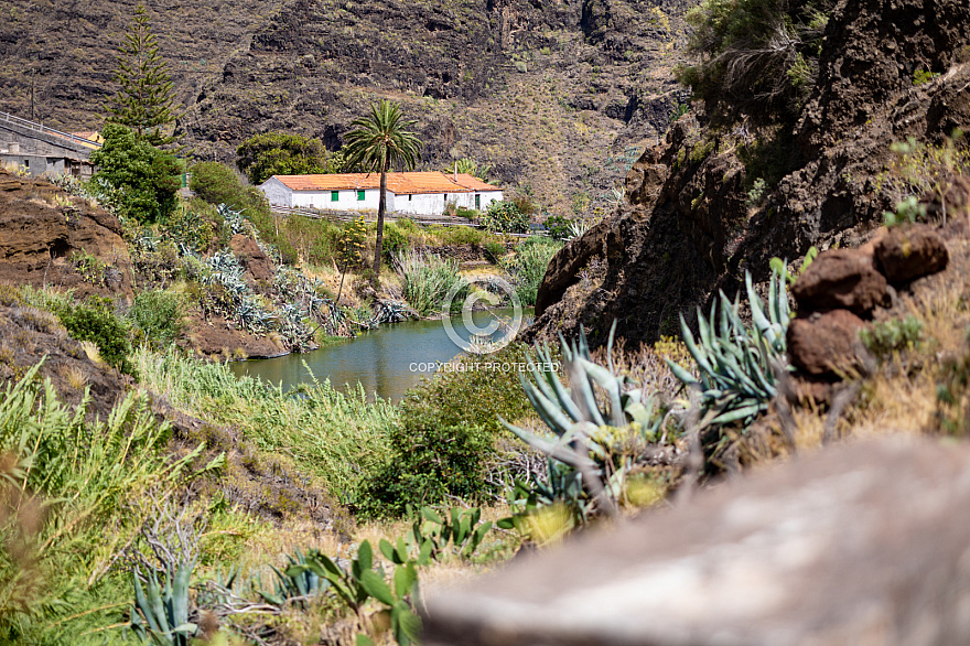 Chejelipes - Barranco de Las Lajas