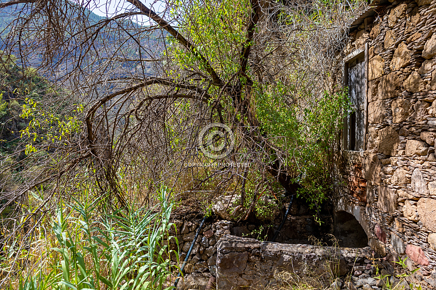 Molinos de Agua en El Sao - Agaete