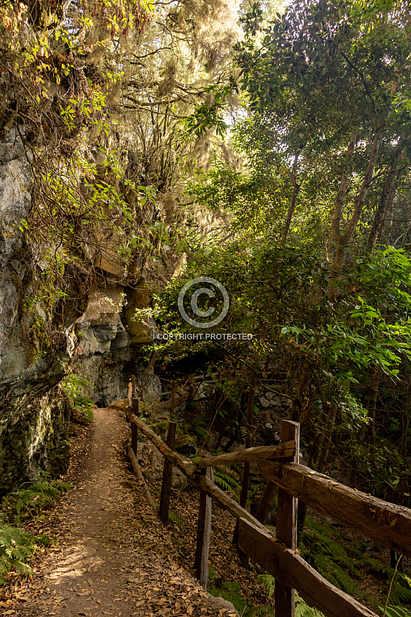 Parque Cultural La Zarza - La Palma