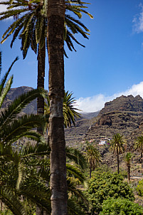 Barranco de Santiago - La Gomera