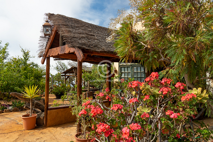 Bodega Alma de Trevejos - Tenerife