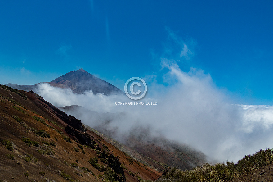 Las Cañadas y El Teide - Tenerife