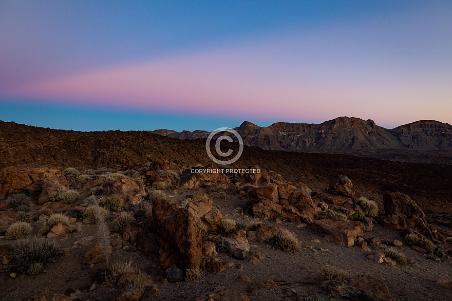 Las Cañadas del Teide - Tenerife