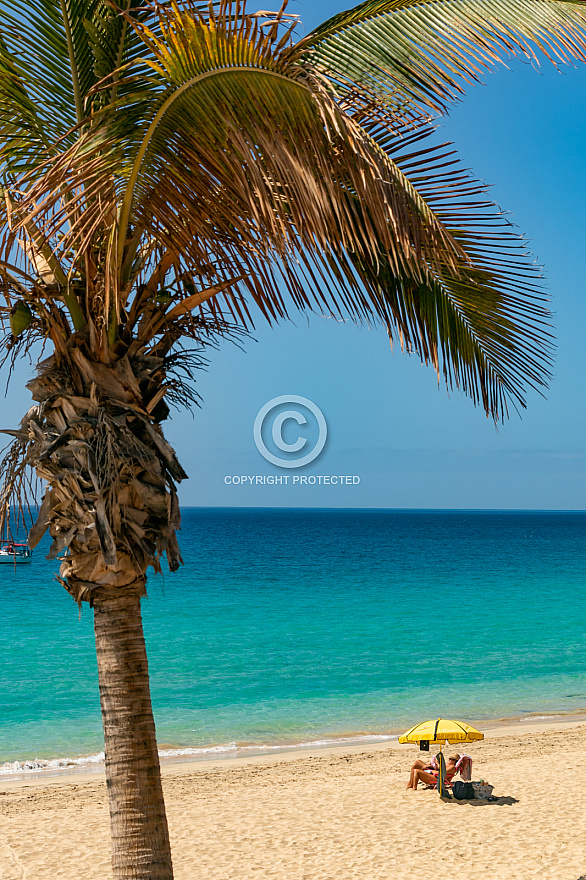 Morro Jable - Fuerteventura