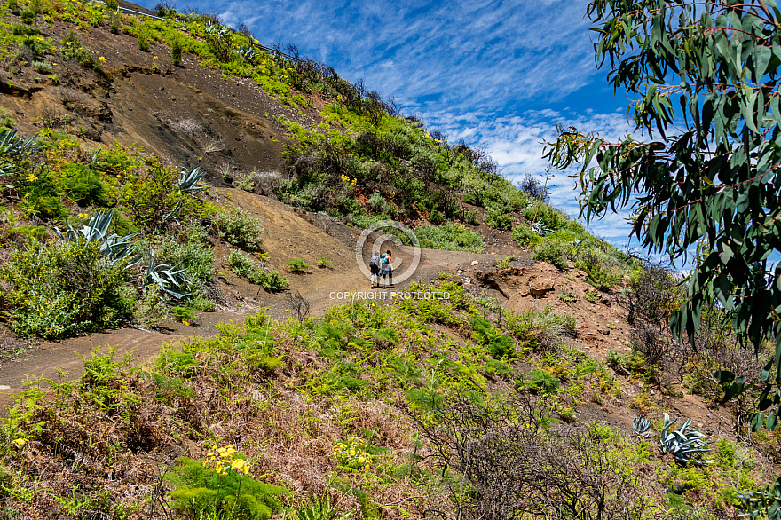 Hiking near Fontanales