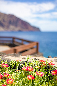 El Parador - El Hierro