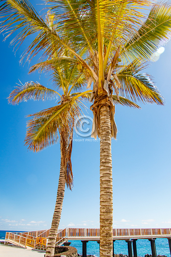 Arrieta - Lanzarote