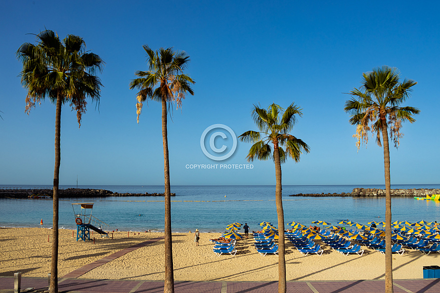 Playa de Amadores