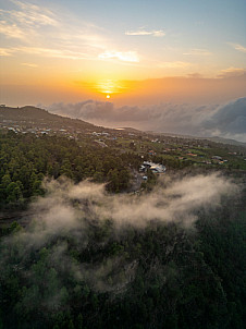 las Tricias (atardecer) - La Palma