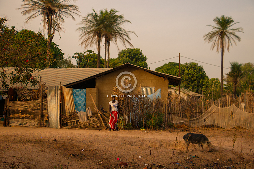 Senegal