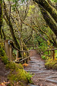 Barranco del Cedro - La Gomera