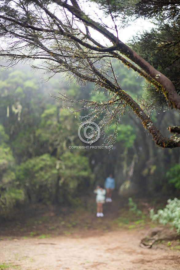 La Llanía - El Hierro