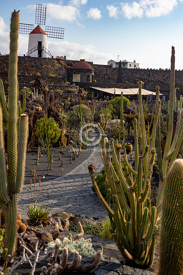 Jardín de Cactus - Lanzarote