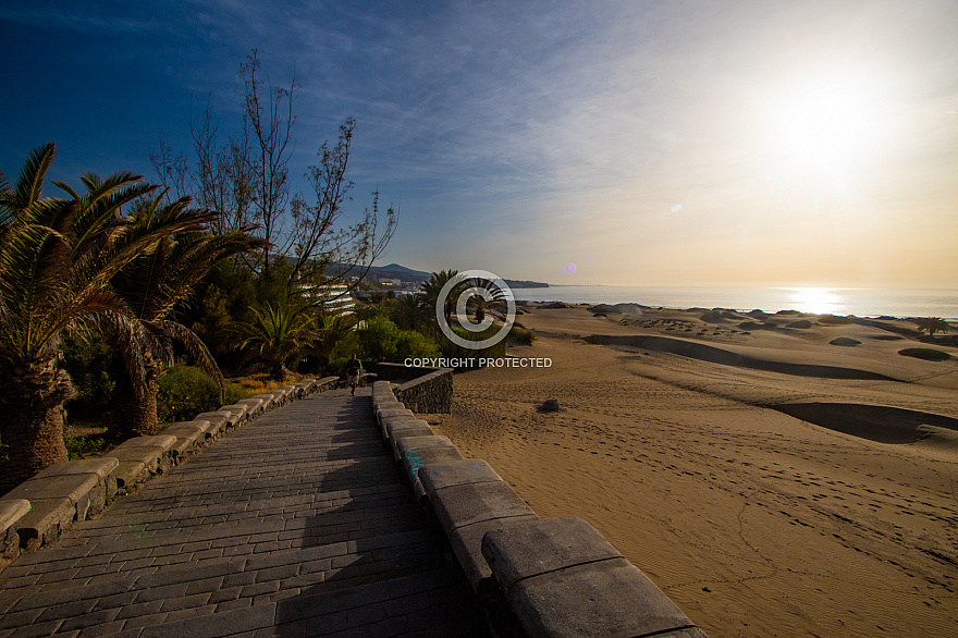 Maspalomas Dunes