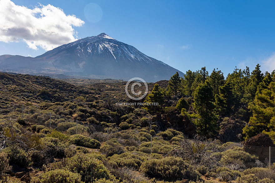 Centro de Visitantes de El Portillo Parque Nacional del Teide - Jardín Botánico - Tenerife