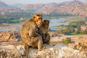 Hampi - India