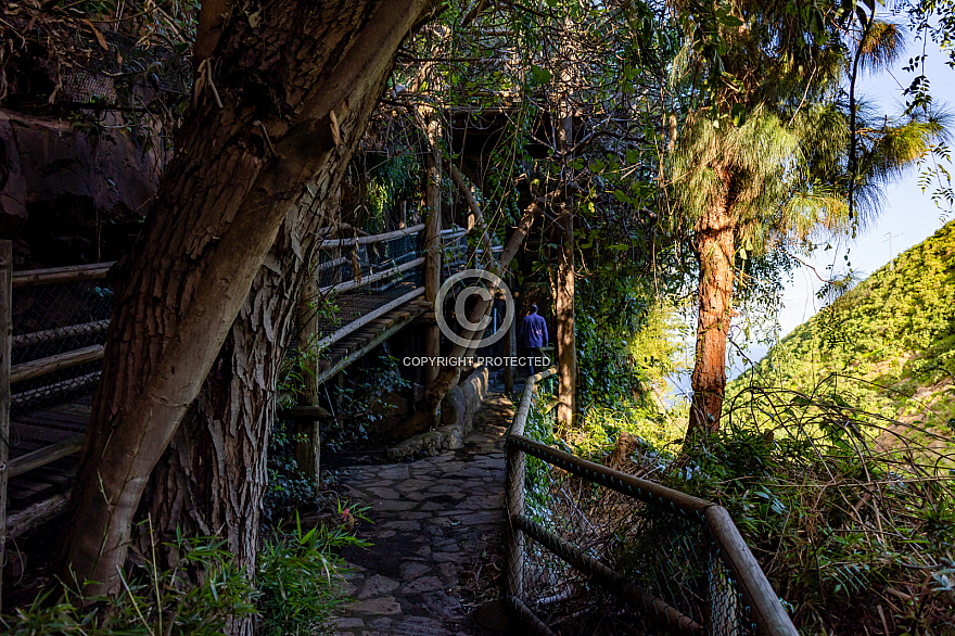 Maroparque - La Palma