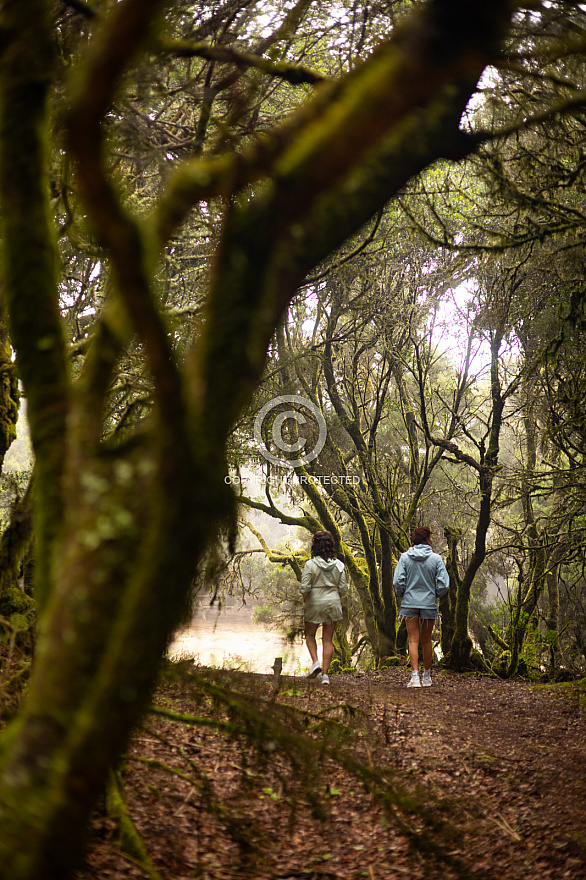 La Llanía - El Hierro