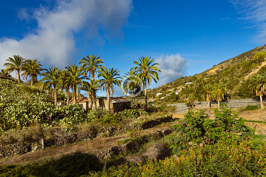 La Gomera: Las Rosas