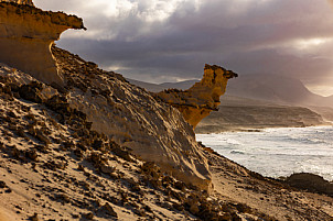 las razas - fuerteventura