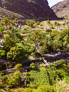 Barranco de Santiago - La Gomera