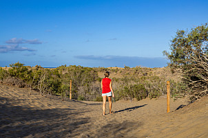 Dunas de Maspalomas: Senderos Y Miradores