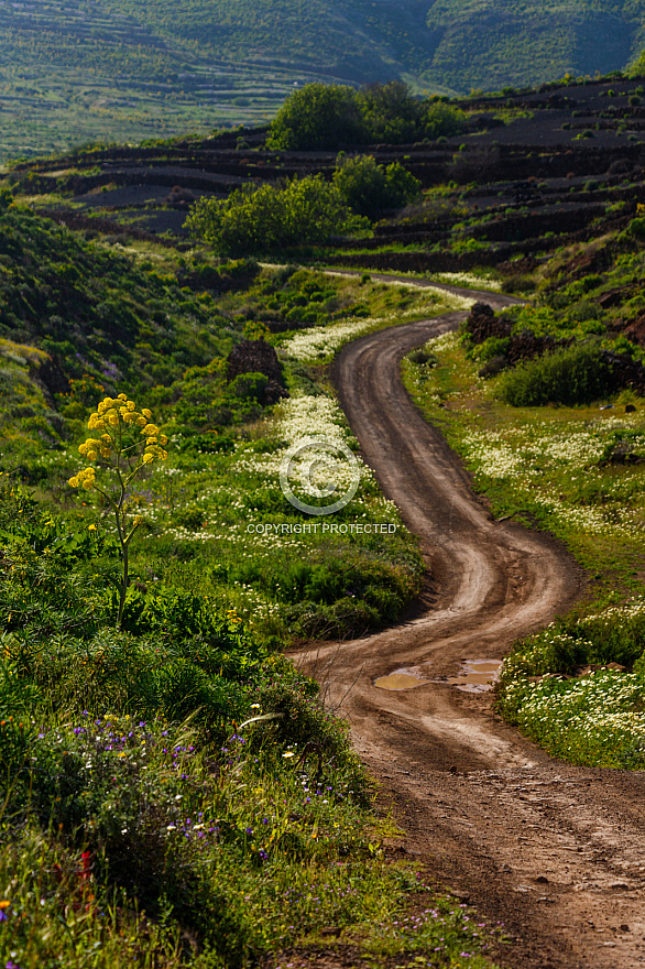 On the Road - Lanzarote