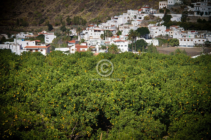 Finca La Laja