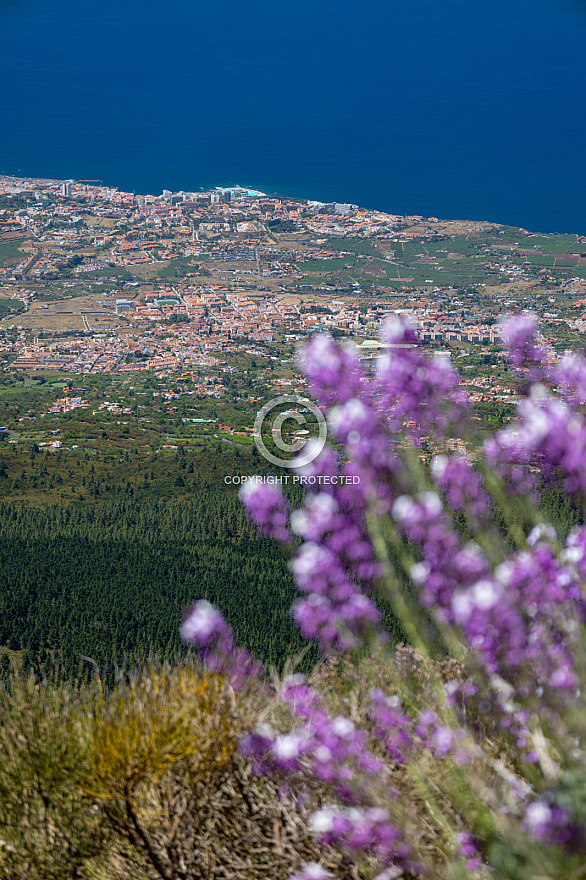 Cañadas del Teide - Tenerife