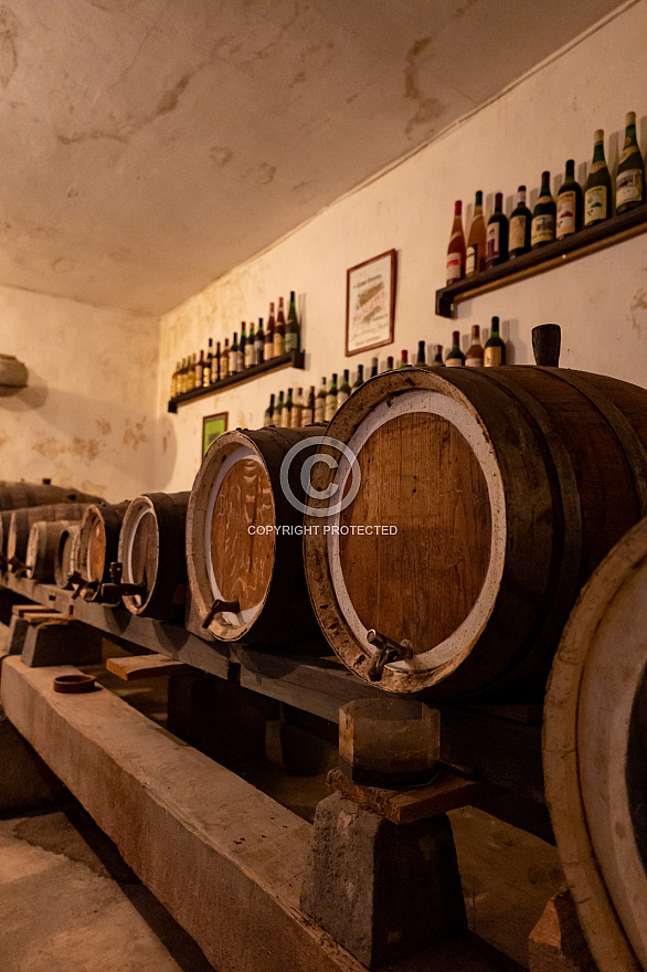 Bodega San Juan - Finca Mocanal - Gran Canaria