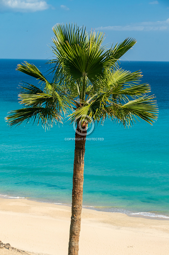 Playa Esquinzo (sur) - Fuerteventura