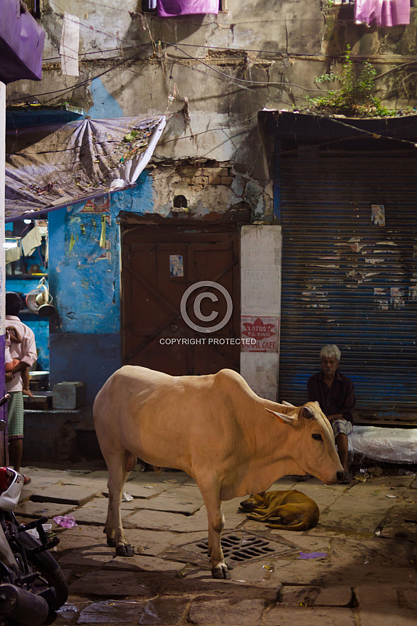 Varanasi