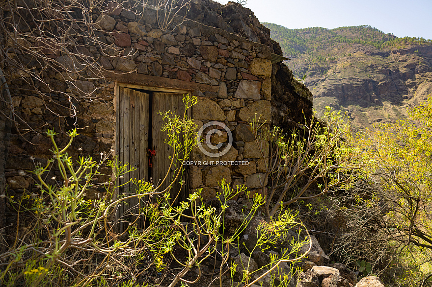 Molinos de Agua en El Sao - Agaete