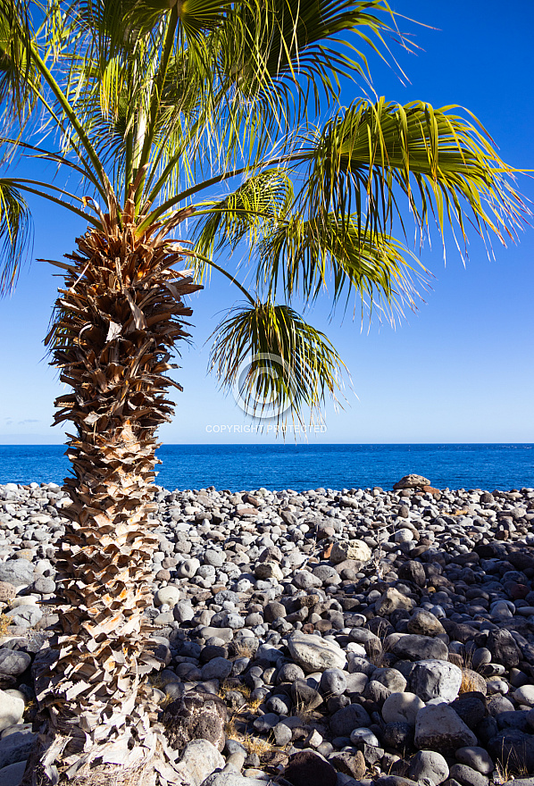 Puerto de Santiago en La Gomera