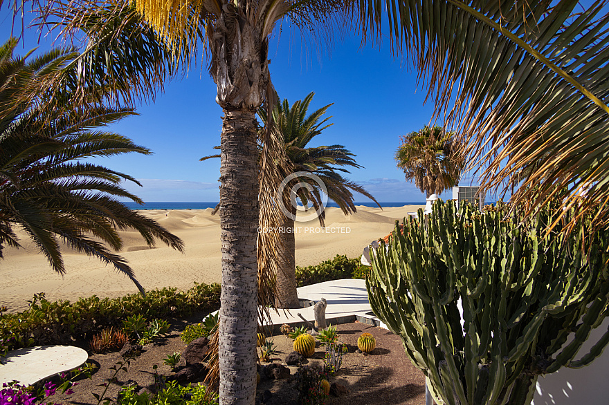 Dunas de Maspalomas: Senderos Y Miradores