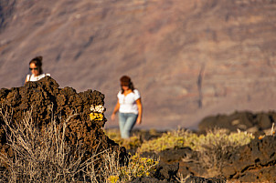 La Maceta y Sendero Litoral El Hierro