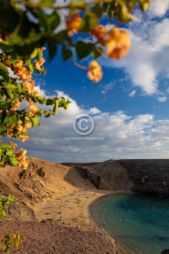 Playa de Papagayo - Lanzarote