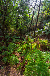 La Gomera