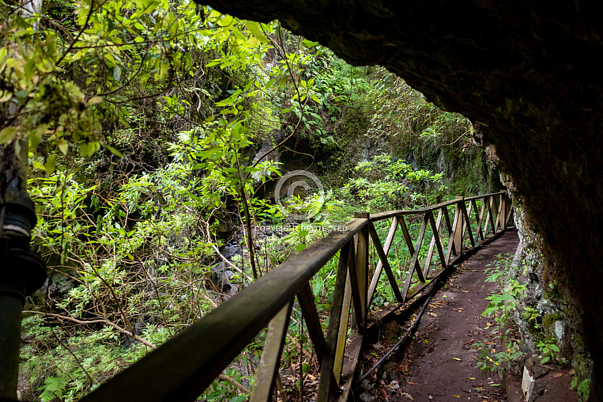 Bosque de los Tilos (Cascada - Waterfall) - La Palma