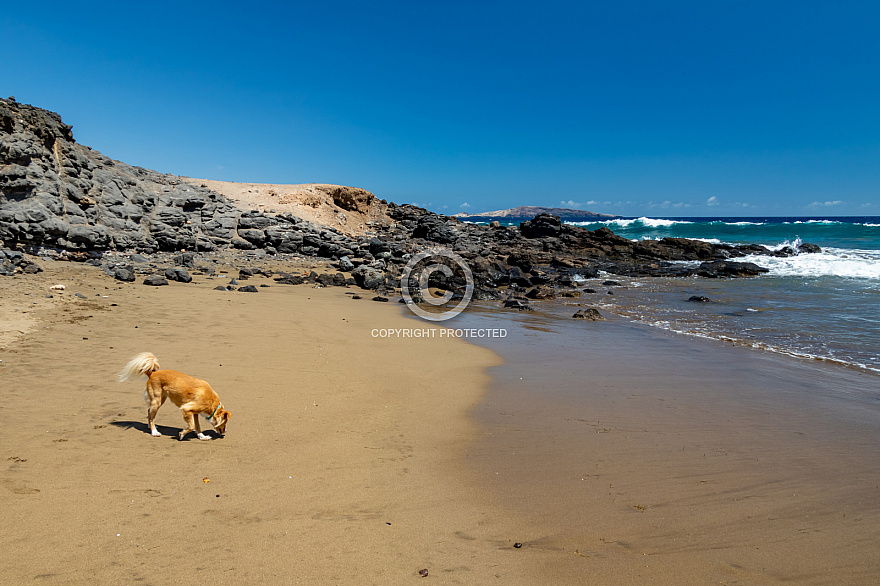 Playa Tres Peos - Vargas