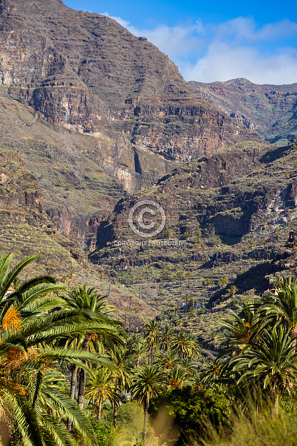 La Gomera: Barranco de Santiago