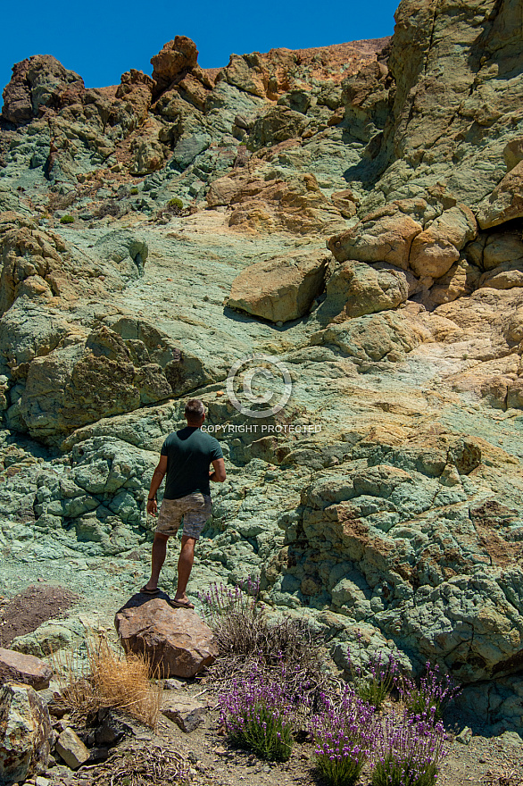 Las Cañadas y El Teide - Tenerife