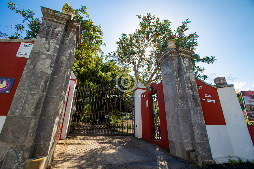 Bodega San Juan - Finca Mocanal - Gran Canaria