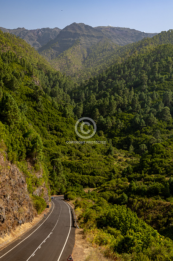 On the road - La Palma