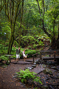 El Cedro - Garajonay