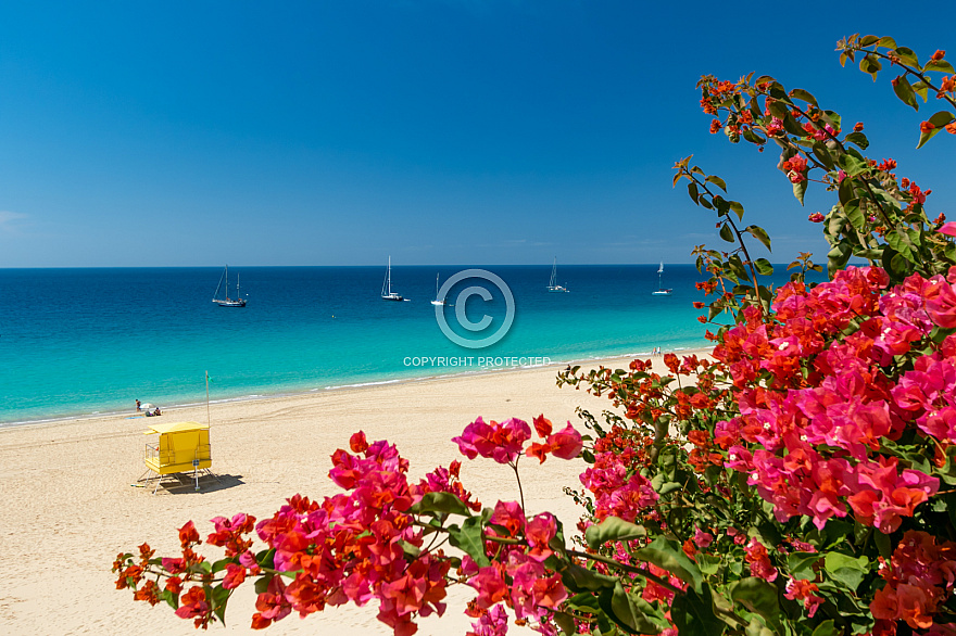 Morro Jable - Fuerteventura