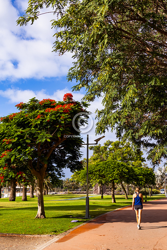 Parque del Sur en Campo Internacional Maspalomas